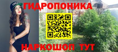 герыч Владивосток