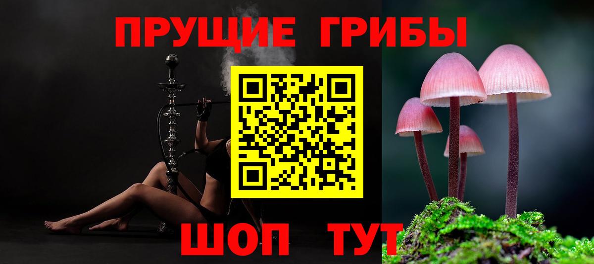 Галлюциногенные грибы Cubensis  Галлюциногенные грибы Psilocybine cubensis  Елец  Вход с VPN 